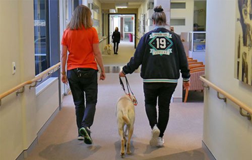 A back view of a Guide Dog instructor and a teenager walking along a corridor at VisAbility.