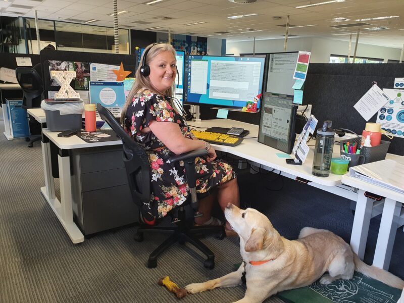 Annalise sits at her desk with Guide Dog Alfie at her feet 
