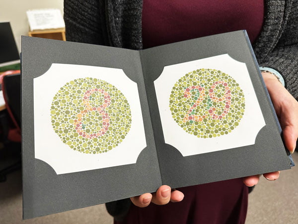 Person holding a book with lots of circular small green and red dots which is the Ishihara test. 